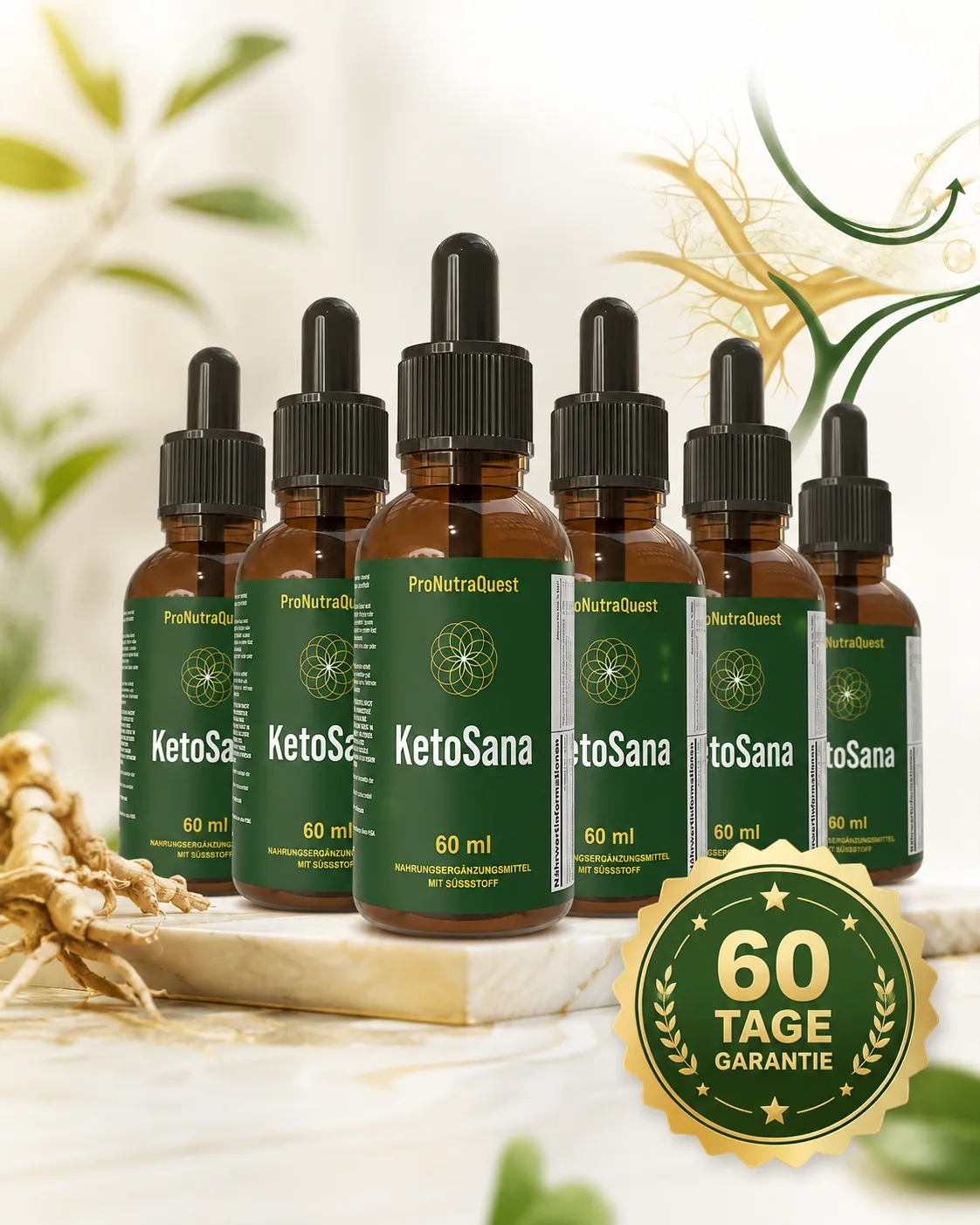 KetoSana 6-Flaschen-Angebot mit 60-Tage-Garantie